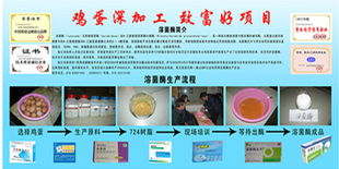 洞悉食品饮料行业新机遇 精准求购与技术转让的策略指南